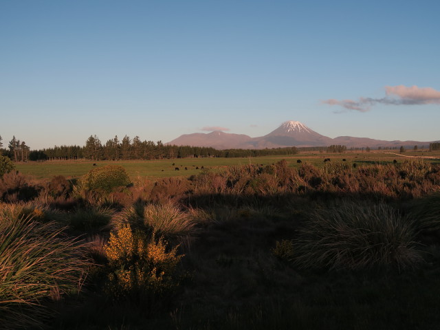 Mount Tongariru von National Park aus (22. Nov.)