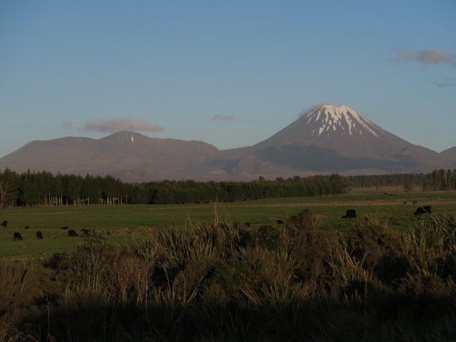 Mount Tongariru von National Park aus (22. Nov.)