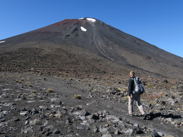 Tongariro Alpine Crossing: Markus zwischen South Crater und Mount Ngauruhoe (23. Nov.)