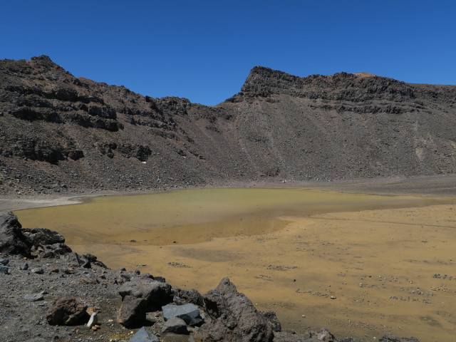 Tongariro Alpine Crossing: South Crater (23. Nov.)