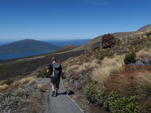 Tongariro Alpine Crossing: Markus am Ketetahi Track (23. Nov.)