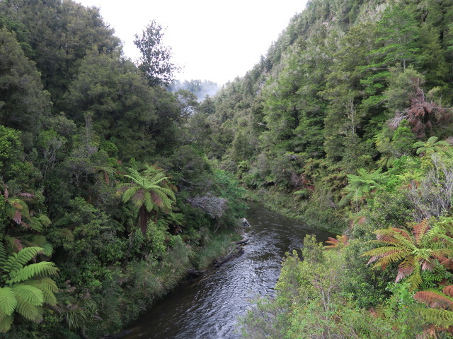 Tangarakau River (24. Nov.)