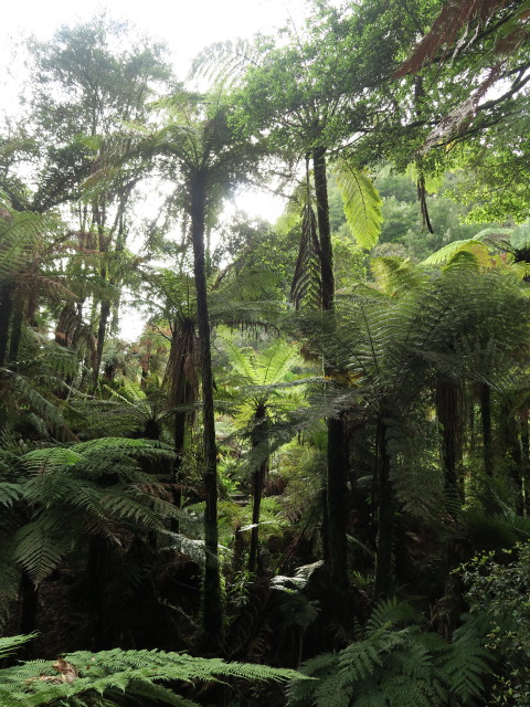 beim Morgans Grave (24. Nov.)