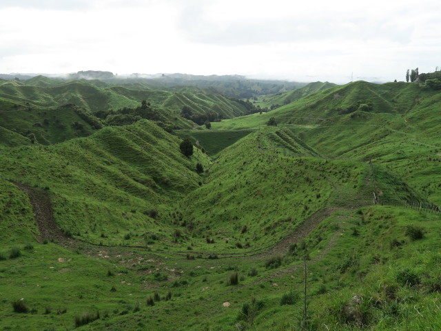 neben dem Forgotten World Highway (24. Nov.)