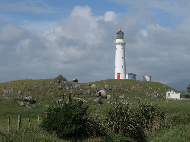Cape Egmont Lighthouse (24. Nov.)