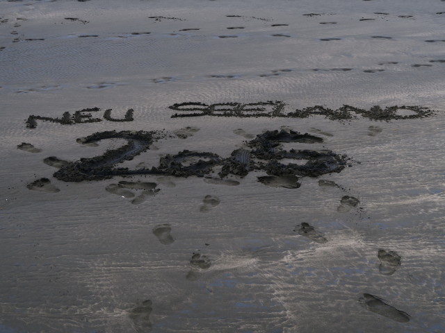 Piha Beach (26. Nov.)