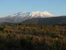Mount Ruapehu von National Park aus (22. Nov.)
