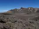 Tongariro Alpine Crossing: Central Crater (23. Nov.)