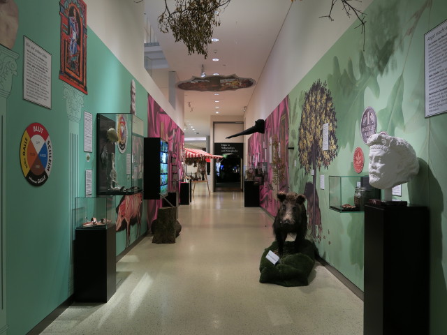 Sonderausstellung 'Warzenkraut und Kr&ouml;tenstein' im Landesmuseum