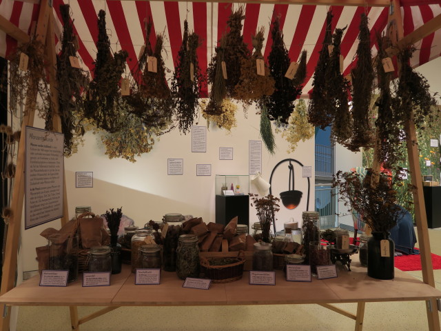 Sonderausstellung 'Warzenkraut und Kr&ouml;tenstein' im Landesmuseum