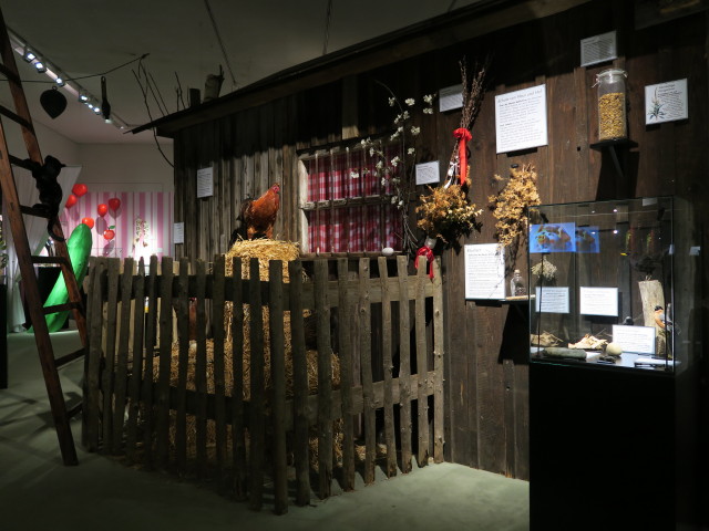Sonderausstellung 'Warzenkraut und Kr&ouml;tenstein' im Landesmuseum