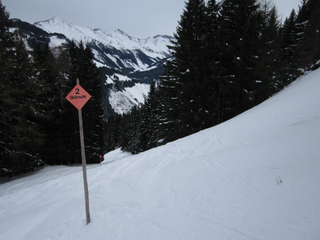 Skiroute &Ouml;rg-Alm