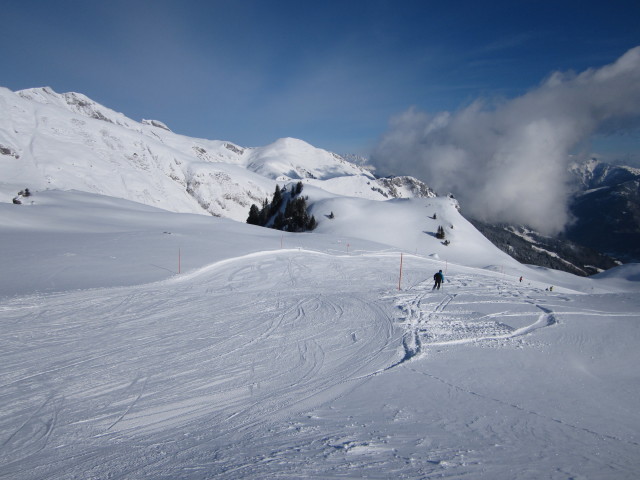 Hohe Scharte-Nordabfahrt (20. Feb.)