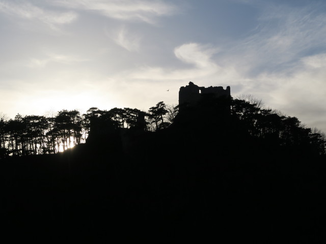 Ruine Burg M&ouml;dling