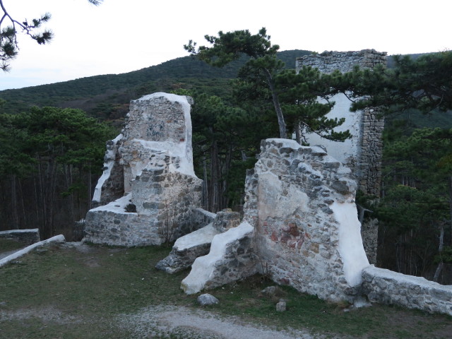 Ruine Burg M&ouml;dling