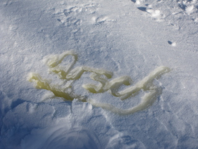 Piste Plan (10. M&auml;rz)