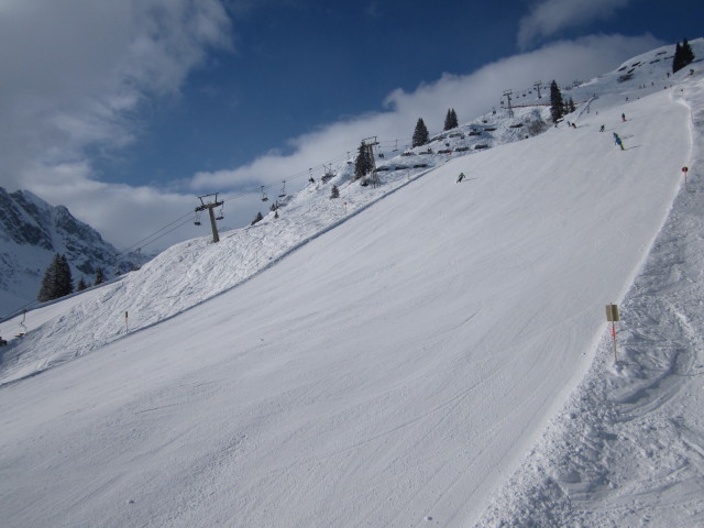 Schwarzk&ouml;pflebahn