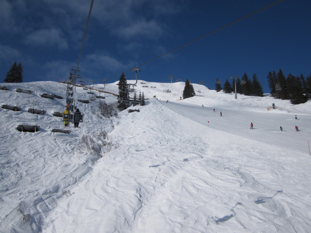 Schwarzk&ouml;pflebahn