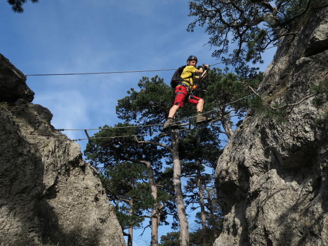 J&ouml;rg auf der Seilbr&uuml;cke