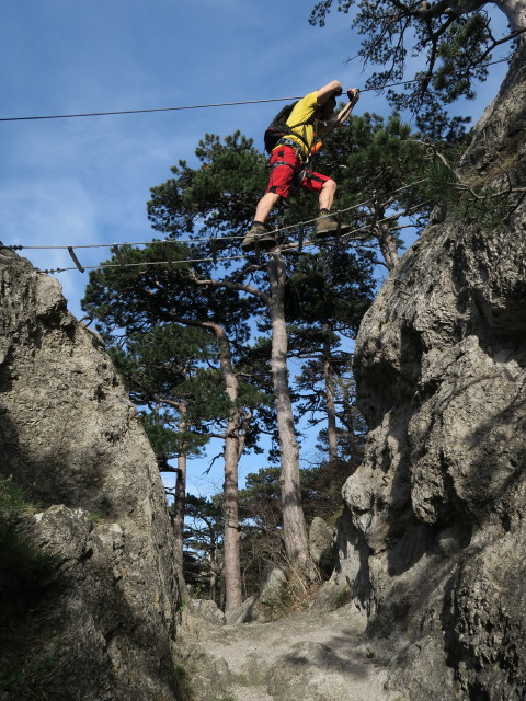J&ouml;rg auf der Seilbr&uuml;cke