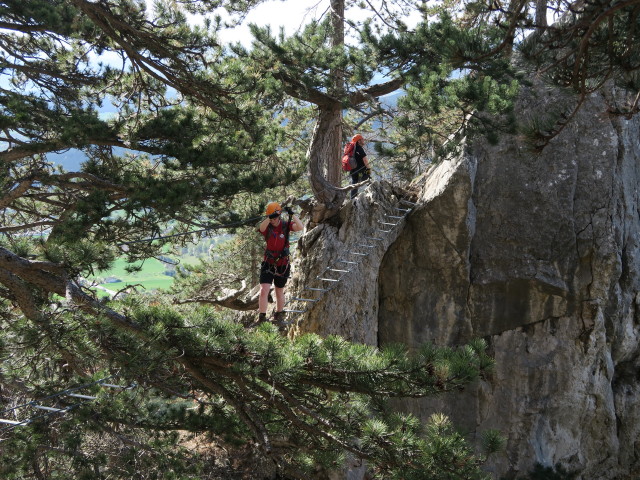 Gebirgsvereins-Klettersteig: Hannelore auf der Seilbrücke