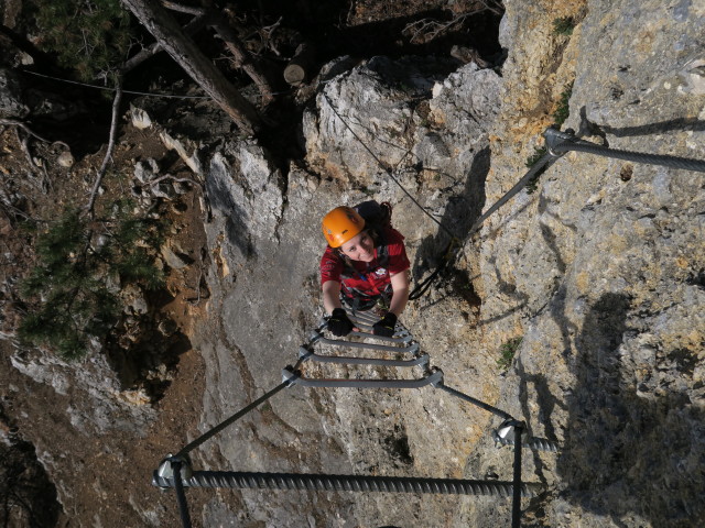 Gebirgsvereins-Klettersteig: Hannelore in der Pannoniawand