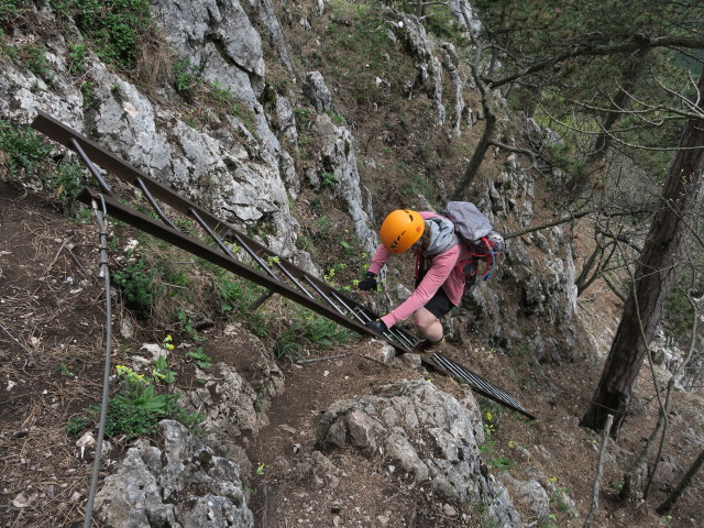 Hannelore am Wagnersteig