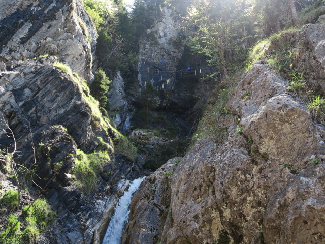 Klettersteig 'Wasserfall St. Anton im Montafon': Seilbr&uuml;cken