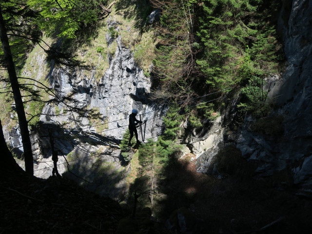 Klettersteig 'Wasserfall St. Anton im Montafon': erste Seilbr&uuml;cke
