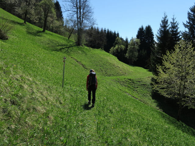 Marisa zwischen Klettersteig 'Wasserfall St. Anton im Montafon' und Graveser M&uuml;hle