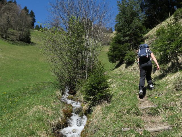 Marisa zwischen Graveser M&uuml;hle und Kapelle Valleu
