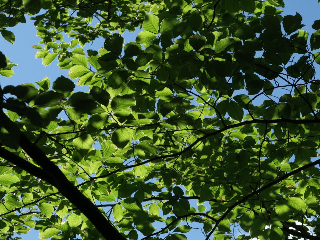 zwischen Oberdrauburg und Mitterkeilh&uuml;tte