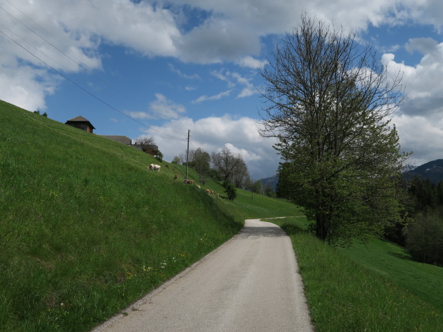 zwischen Dobra und K&ouml;tschach