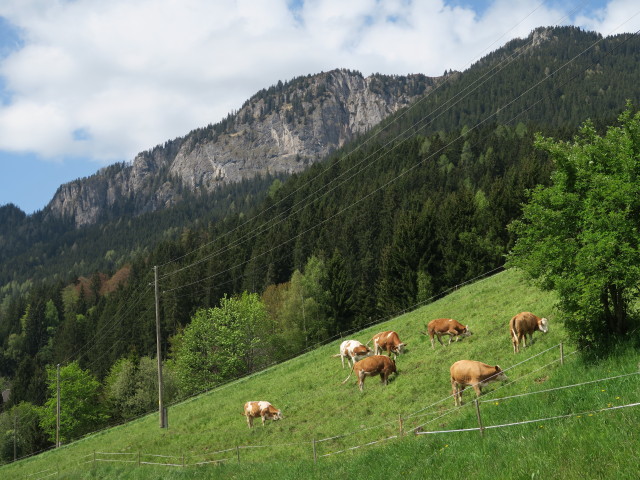 zwischen Dobra und Kötschach