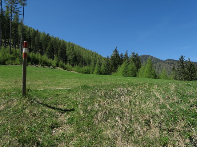 zwischen 'Der wilde Berg' und Alpsteigerh&uuml;tte