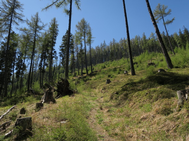 zwischen 'Der wilde Berg' und Alpsteigerh&uuml;tte