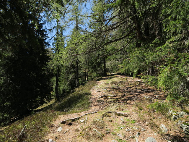 zwischen Alpsteigerh&uuml;tte und Mitterkogel