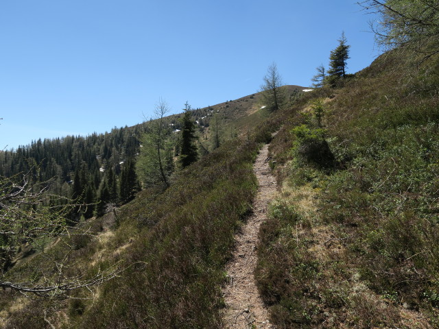 zwischen Alpsteigerh&uuml;tte und Mitterkogel