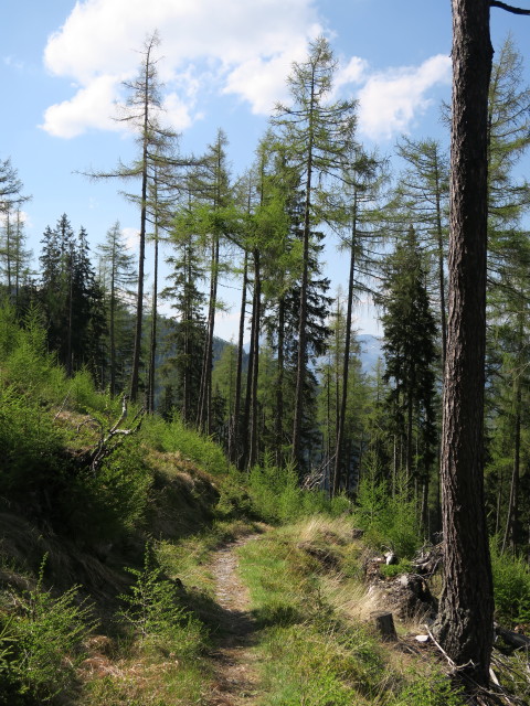 zwischen Antonikreuz und Alpsteigerh&uuml;tte