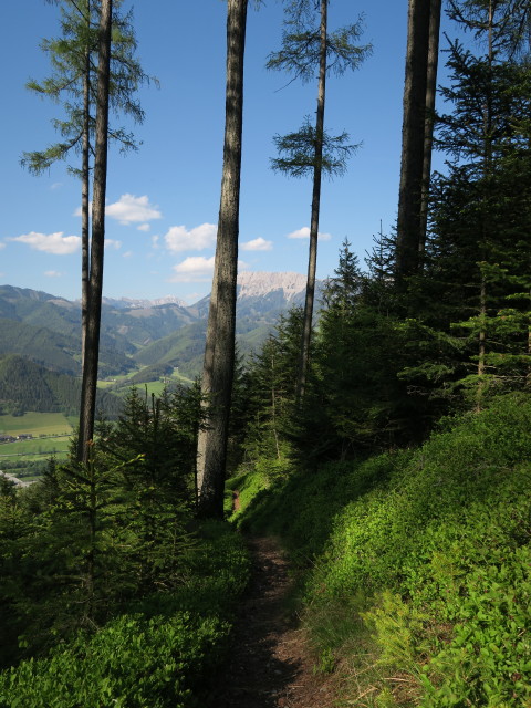 zwischen Alpsteigerh&uuml;tte und 'Der wilde Berg'