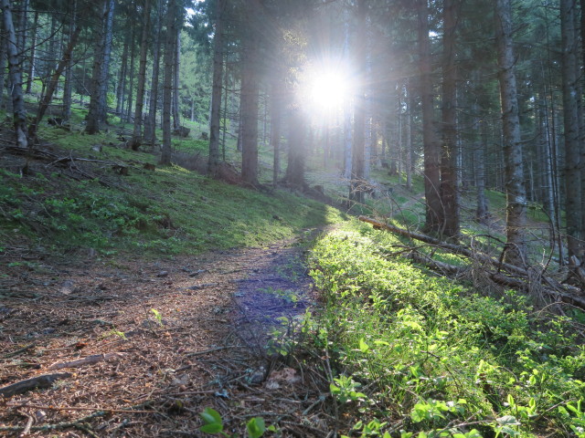 zwischen Stablberg und Gadenst&auml;ttalm (26. Mai)
