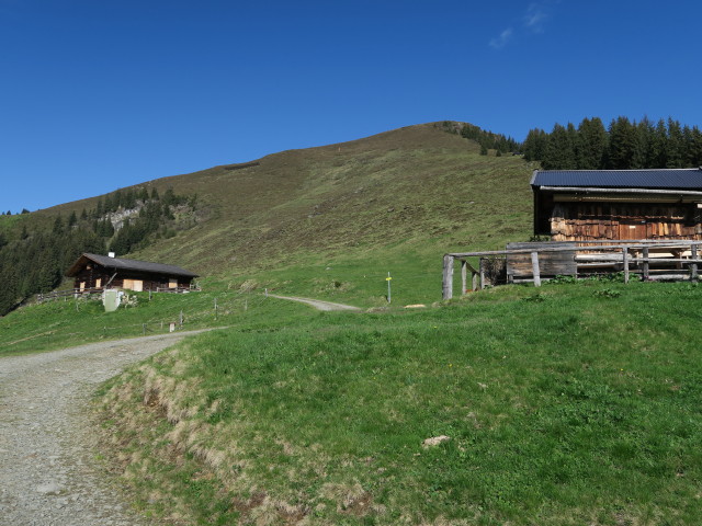 Gstallneralm (26. Mai)
