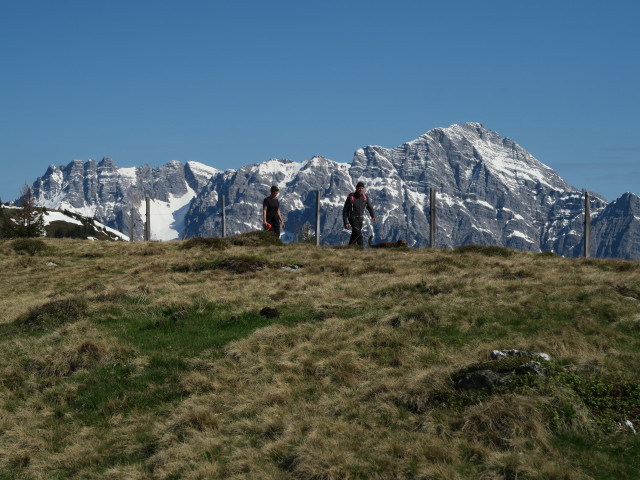 zwischen Gstallneralm und Sausteigen (26. Mai)