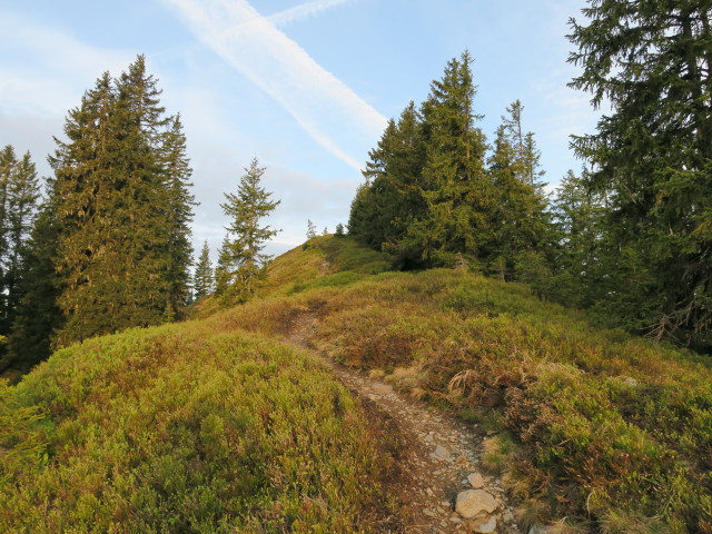 zwischen Spielberghaus und Bernkogel (27. Mai)
