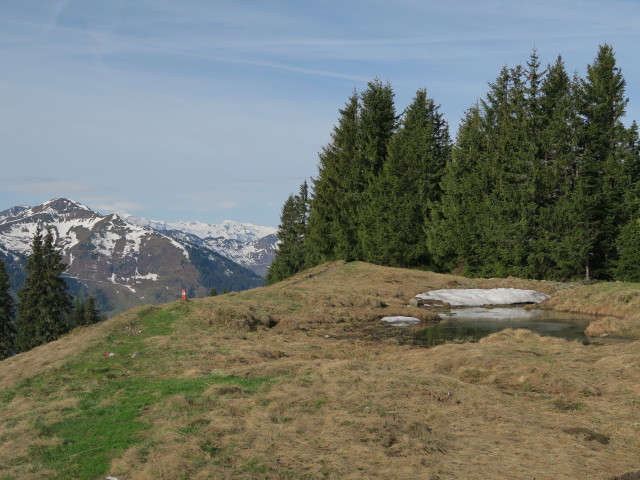 zwischen Reiterkogel und Hasenauerk&ouml;pfl (27. Mai)