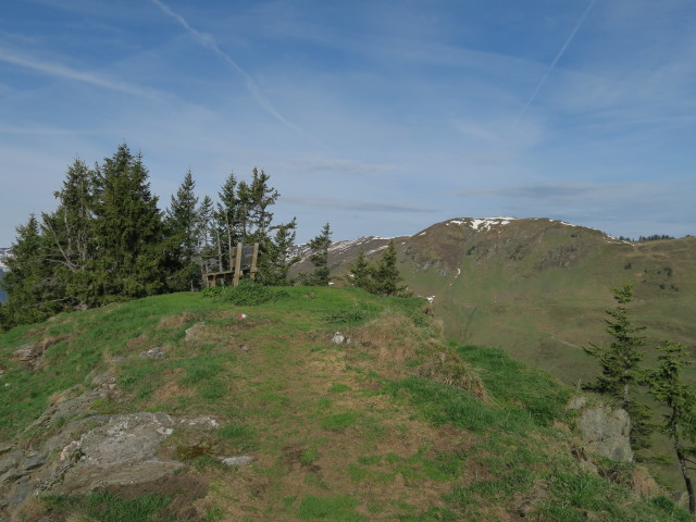 Hasenauer K&ouml;pfl, 1.790 m (27. Mai)