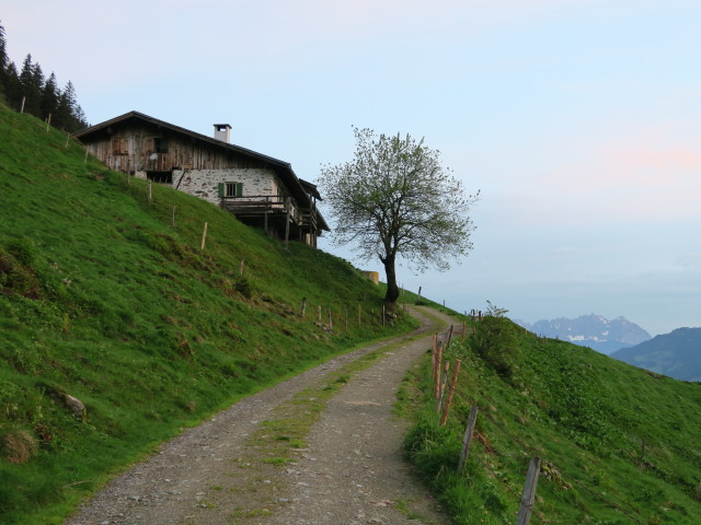 Schlichtenalm (28. Mai)
