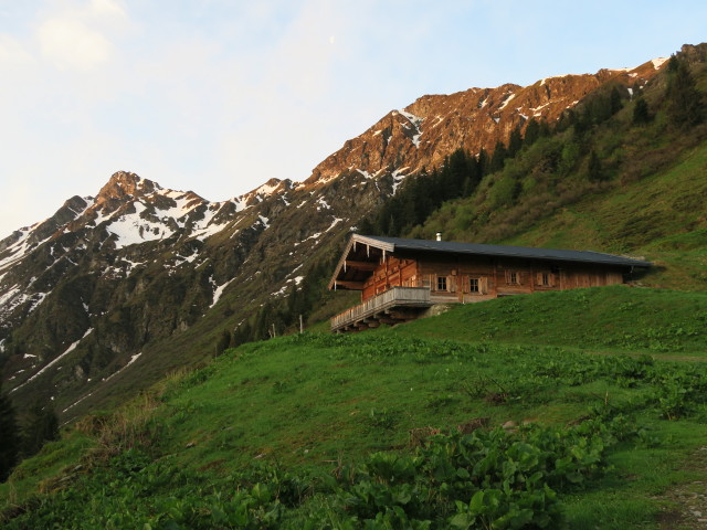 zwischen Schlichtenalm und Auf der Sch&uuml;tz (28. Mai)