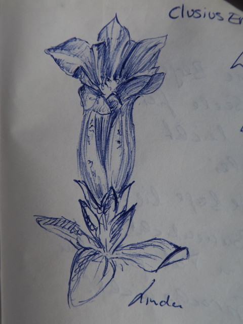 Sch&uuml;tzkogel, 2.067 m (28. Mai)