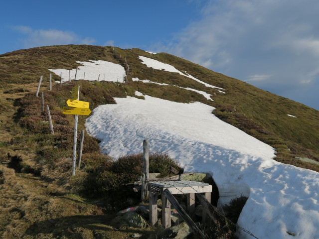 zwischen Sch&uuml;tzkogel und Kleinem Sch&uuml;tz (28. Mai)
